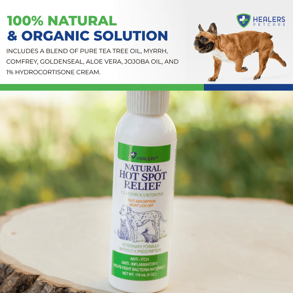 Prescription anti itch outlet medicine for dogs