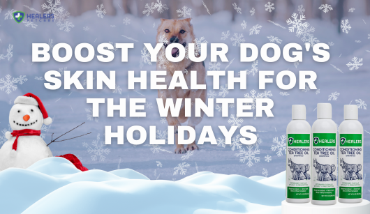 Boost Your Dog's Skin Health for the Winter Holidays