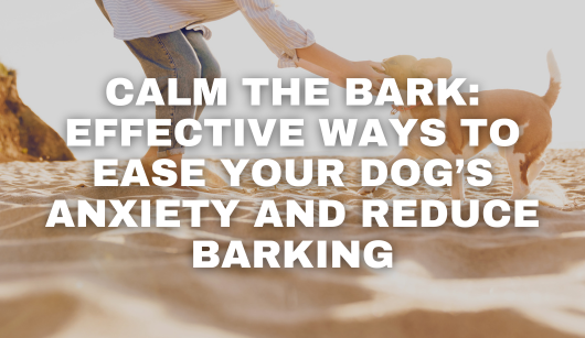 Calm the Bark: Effective Ways to Ease Your Dog’s Anxiety and Reduce Barking