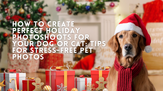 How to Create Perfect Holiday Photoshoots for Your Dog or Cat: Tips for Stress-Free Pet Photos