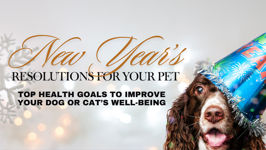 New Year’s Resolutions for Your Pet: Top Health Goals to Improve Your Dog or Cat’s Well-Being