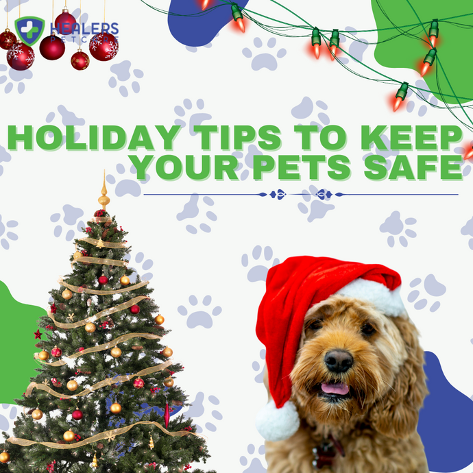 Holiday Tips to Keep Your Pets Safe