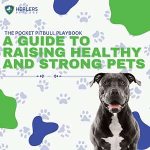 The Pocket Pitbull Playbook: A Guide to Raising Healthy and Strong Pets