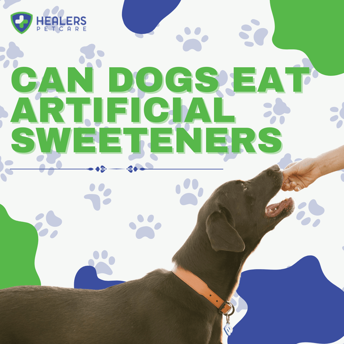 Can Dogs Eat Artificial Sweeteners