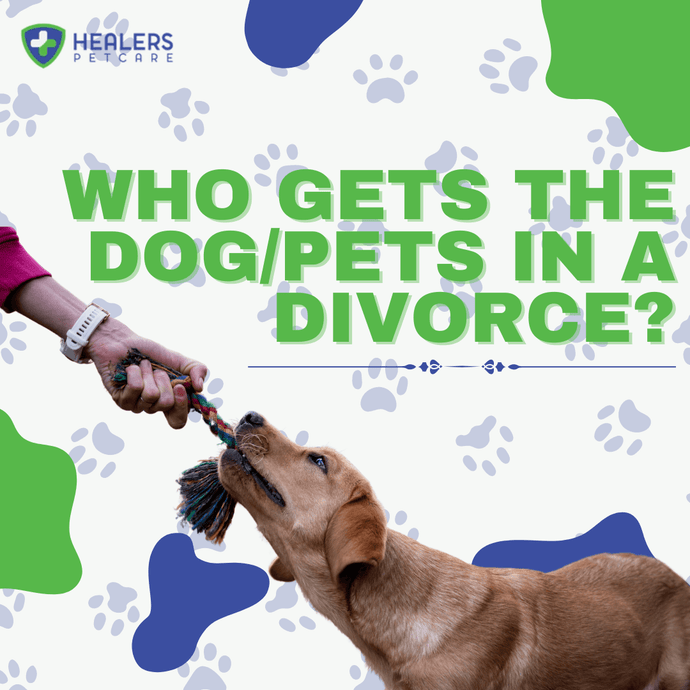 Who Gets the Dog/Pets in a Divorce?