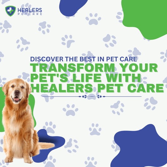 Discover the Best in Pet Care: Transform Your Pet's Life with Healers Pet Care!