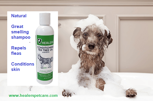 Healers Tea Tree Oil Conditioning Shampoo for Pets (8oz)