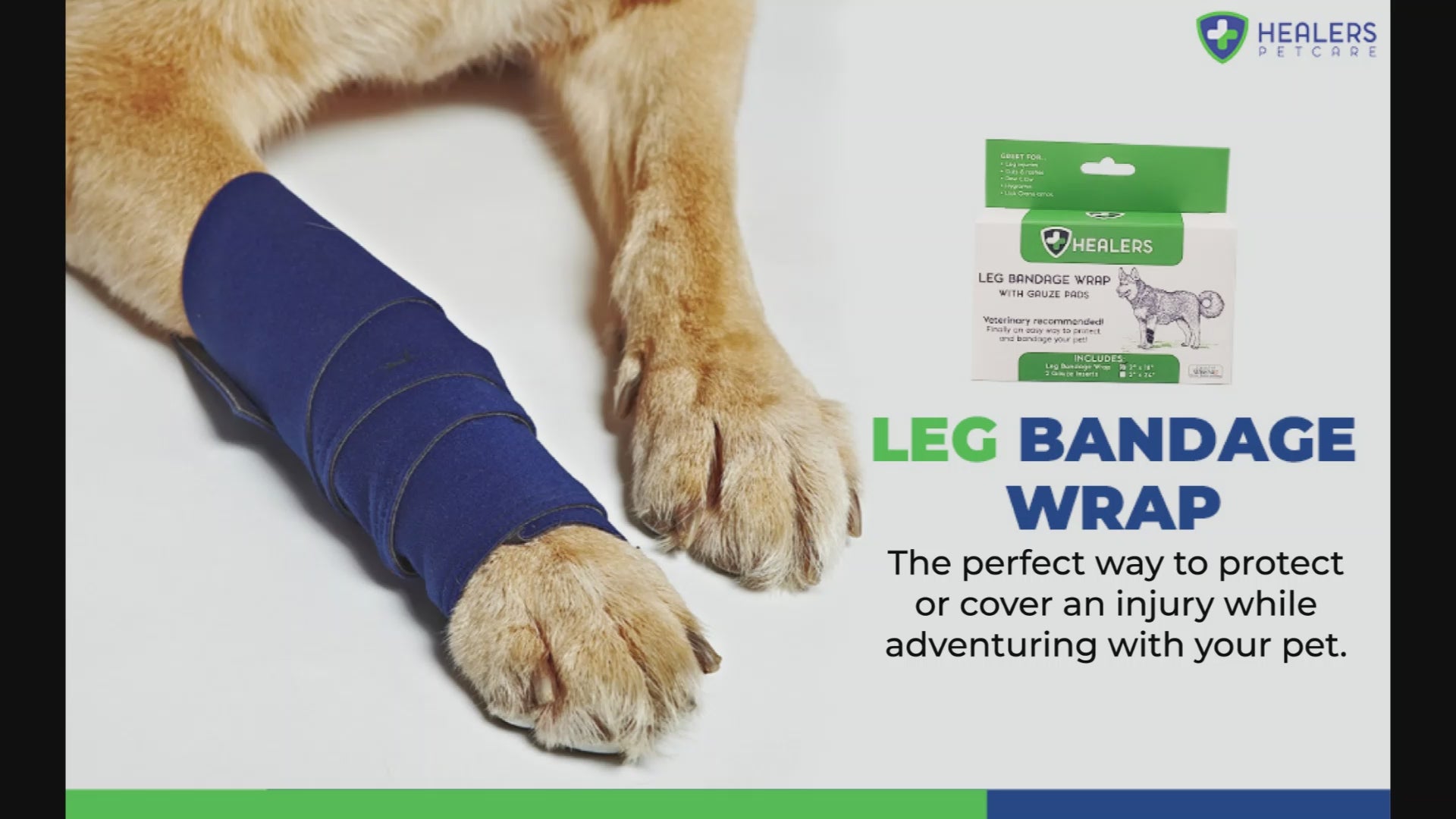 Gauze for dogs best sale