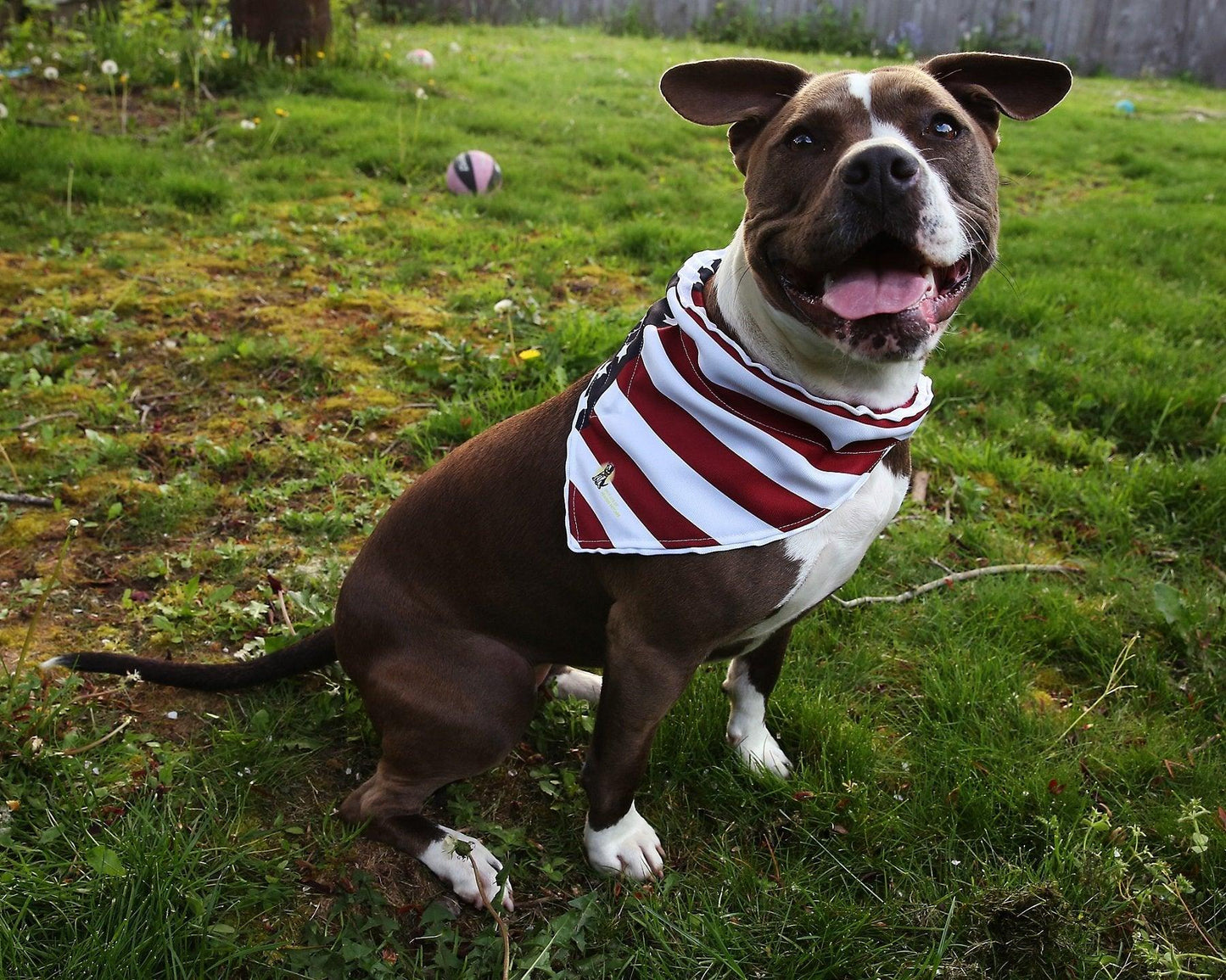 Spot-Lite LED Flag Bandana