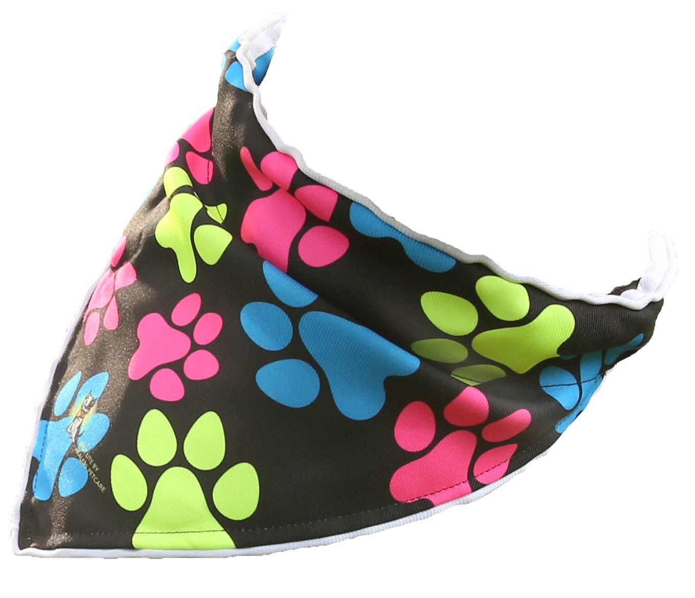 Paw print bandana best sale